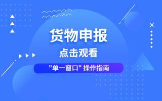 【货物申报】-操作演示