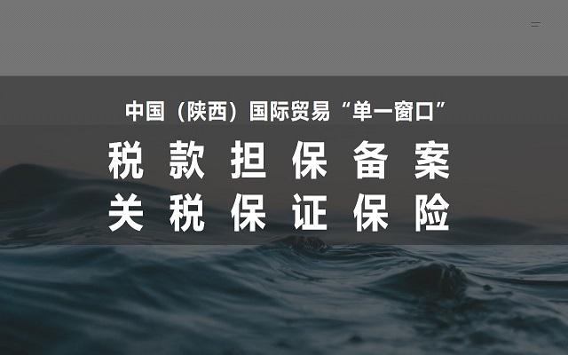 新增税款担保备案及关税保证保险功能培训